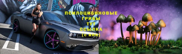 шишки Волосово